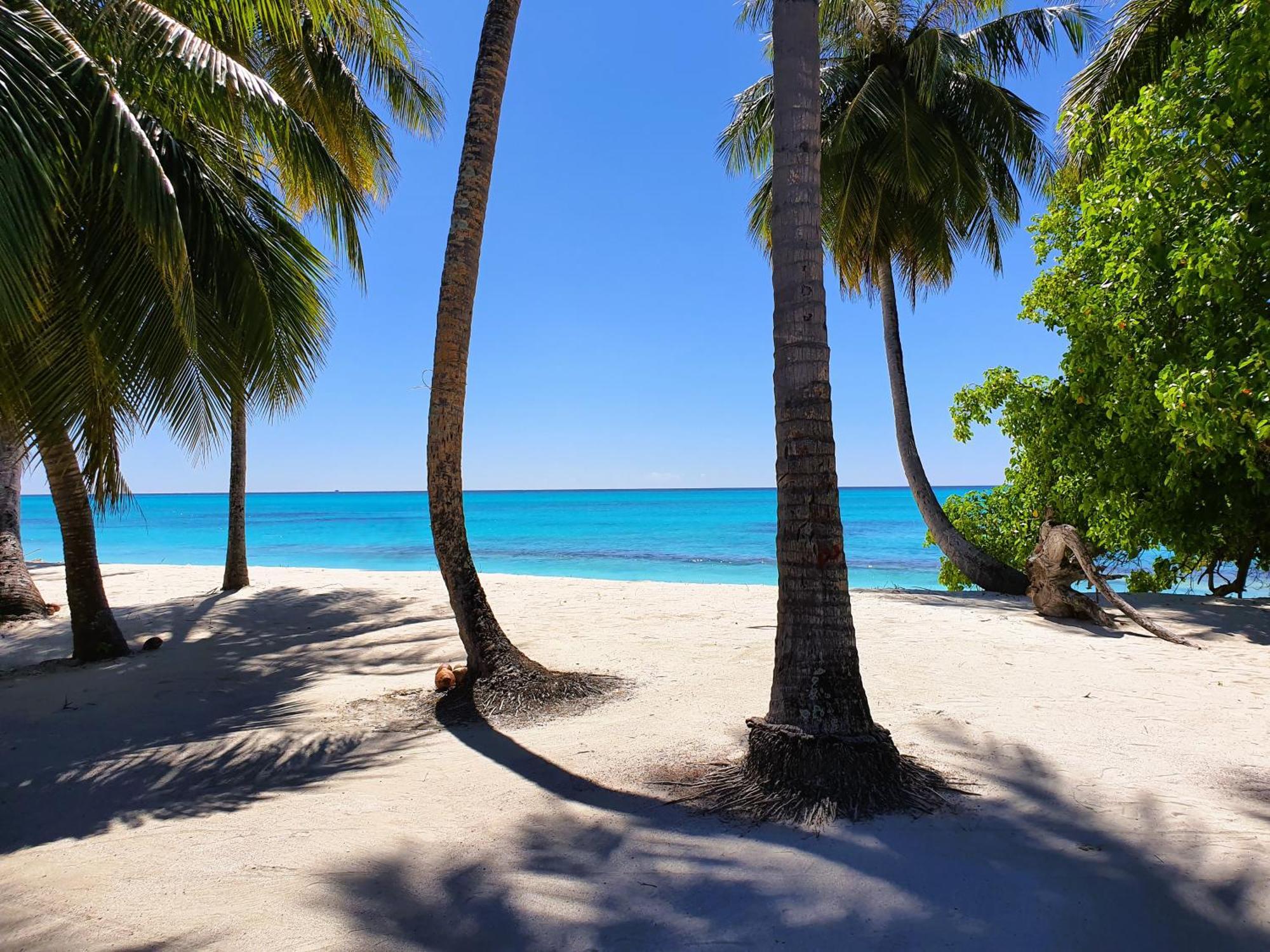 The Fulhadhoo Beach Cottage Buitenkant foto